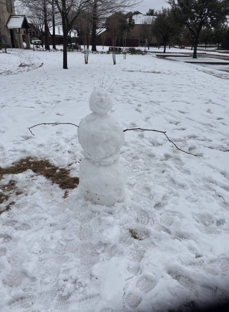 The snowman built by senior Dalton Hardaway. “I made two snowmen,” Hardaway said. “The first one wasn’t great—it was experimental. I got too much dirt mixed into it, so it looked kind of muddy. But the second one was much better. The only problem was I couldn’t find a large carrot for the nose. If I had one, it would have been perfect.”